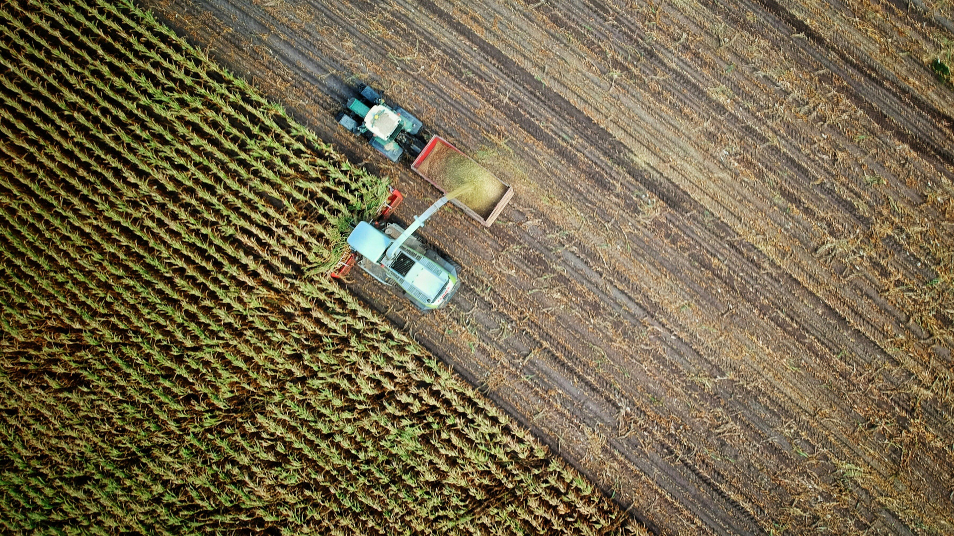 Comment choisir une remorque agricole adaptée à votre exploitation ?